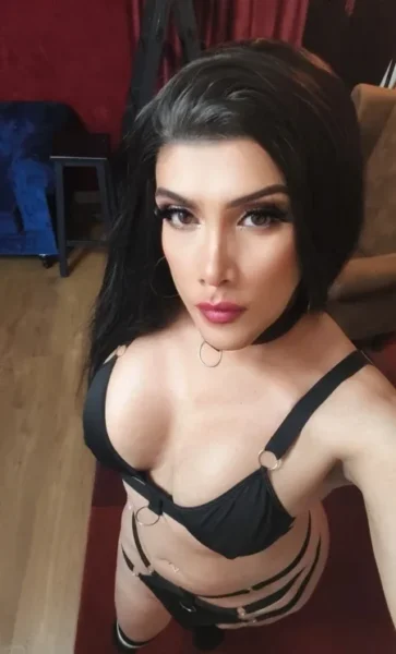 Giseltrans