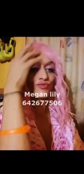 Megan Lily