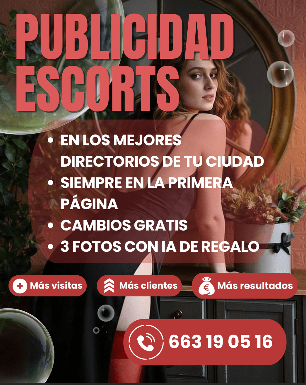 Publicista
