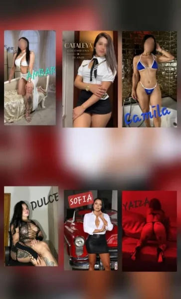 Las Rosas