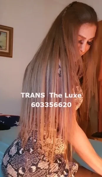 Trans The Luxe