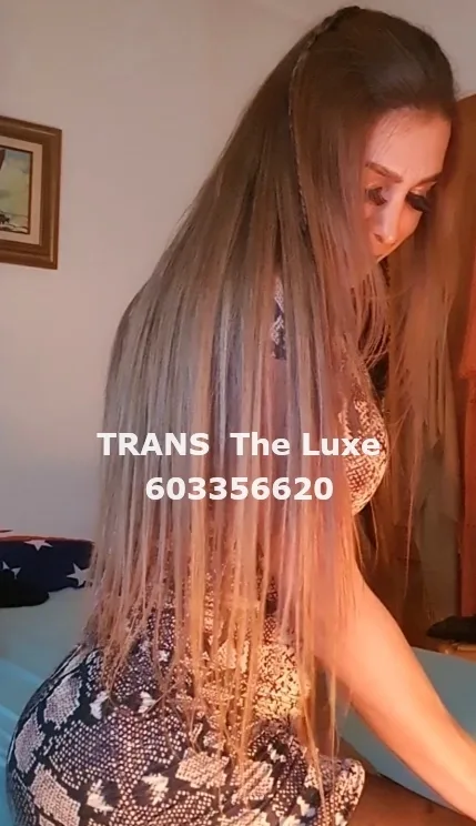 Trans The Luxe, trans in Alicante — photo 5
